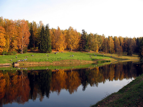 Павловск